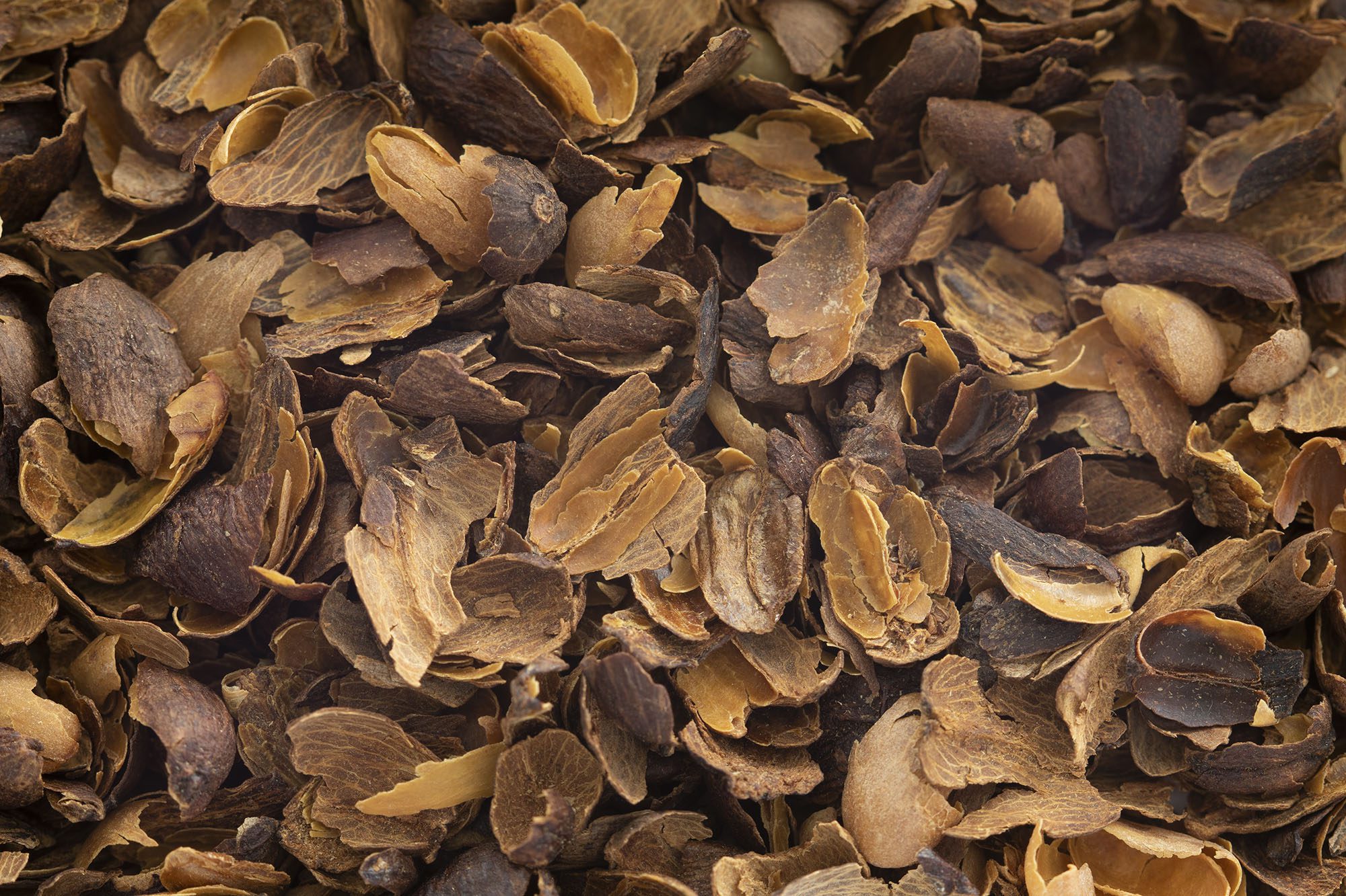 چای میوه‌ای کاسکارا؛ قهوه یا چای؟