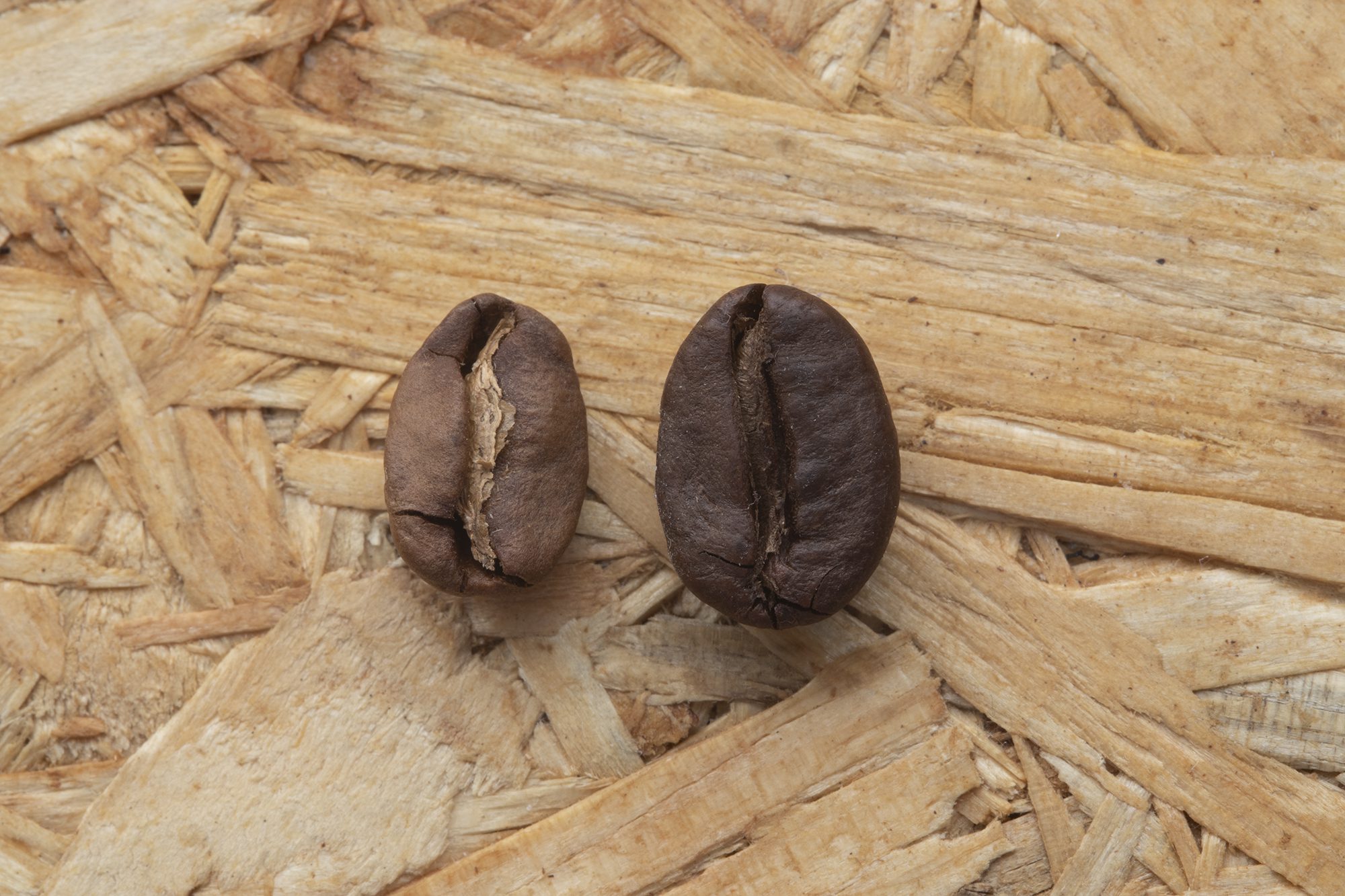 عربیکا و ربوستا چه تفاوت‌هایی دارند؟