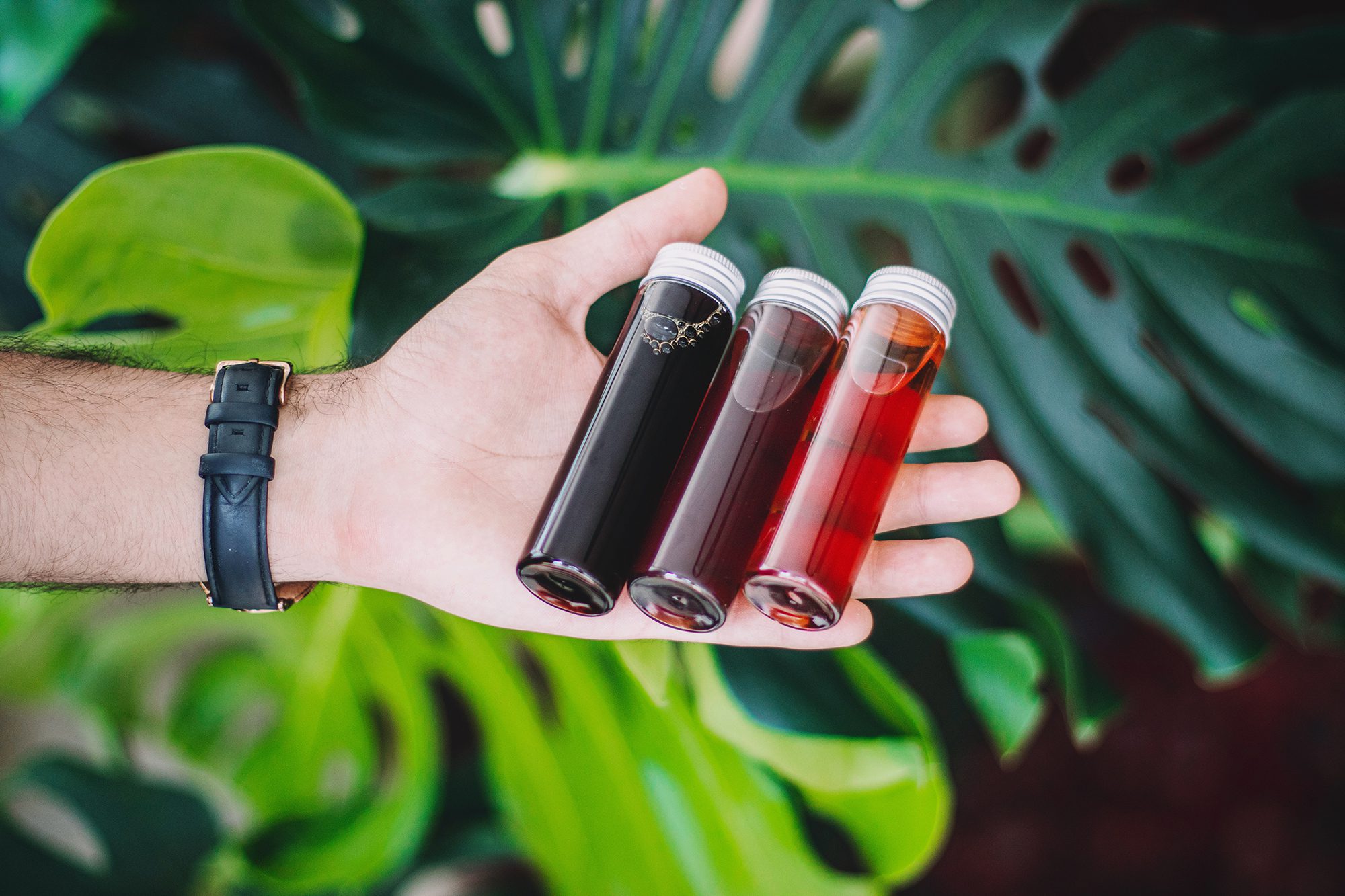 چرا  “تن‌واری” در چرخه طعمی وجود ندارد؟