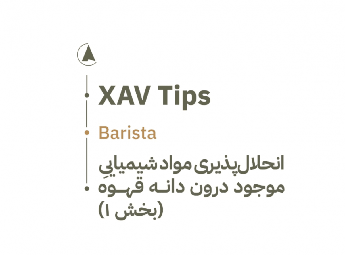 tip6